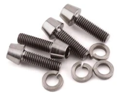 Avid RC 3x10mm Titanium Engine Screws (4)