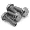 PSM 4x14mm Titanium Droop Screw Set (4)