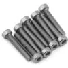 Redcat 2.5x14mm Socket Head Screws (10)