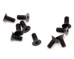 XRAY 2.5x6mm Flat Head Screw (10)