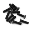 XRAY 2.5x5mm Flat Head Screws (10)